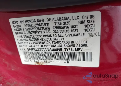 2005 Honda Odyssey Ex-L z USA, uszkodzony, nr VIN 5FNRL38655B406048